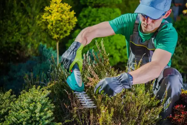 landscaping services Olympian Village